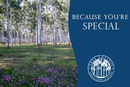 Tree Chalets Because You're Special Voucher