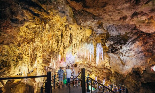 3 people standing on a wooden landing and looking at the cave formations. A coloured light is shining on the stalagmites hanging from the cave ceiling.